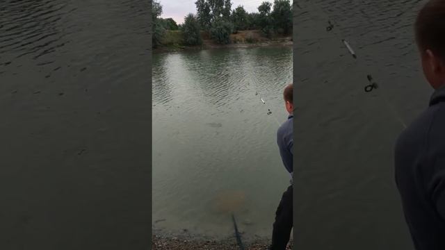 Рыбалка село Васильевка Бишкек смотреть онлайн