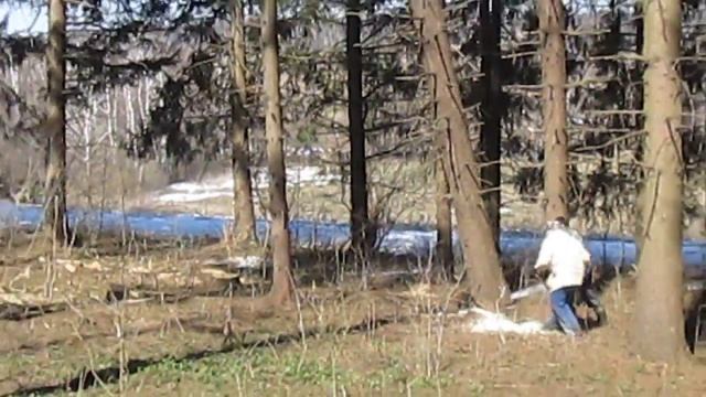 Падающее дерево смотреть онлайн