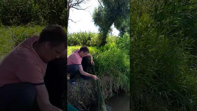 Сазан с берега смотреть онлайн