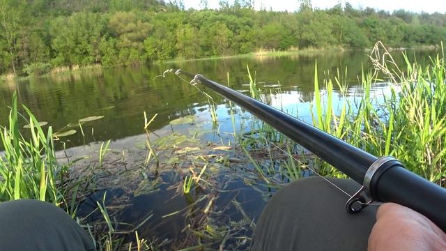 ??Ловля карася на БОКОВОЙ КИВОК на новый РЕЦЕПТ КАШИ / в попытке поймать сома на медведку смотреть онлайн