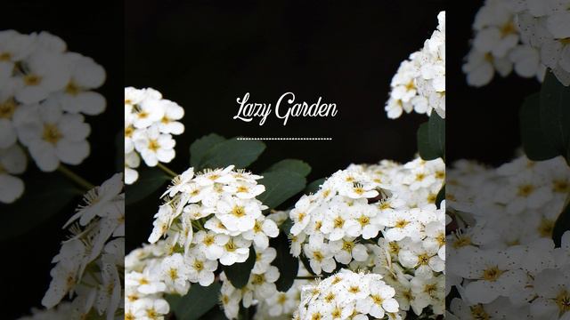 Sweet William смотреть онлайн