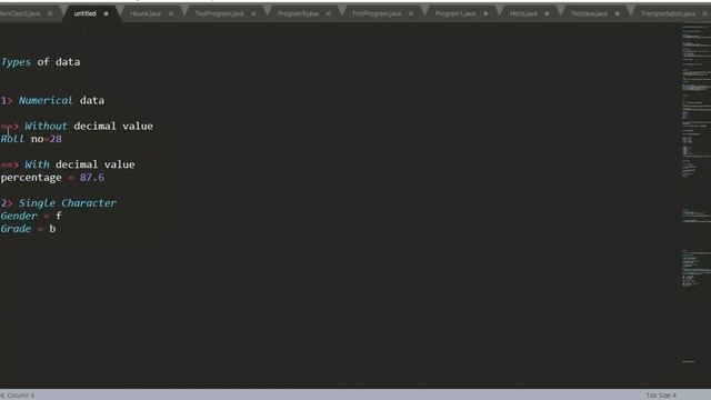 Chapter 17: What is data types in JAVA | LEARN JAVA FROM THE SCRATCH | BASIC JAVA (English) смотреть онлайн