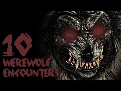 10 DOGMAN AND WEREWOLF ENCOUNTERS FT ZAKBABYTV
