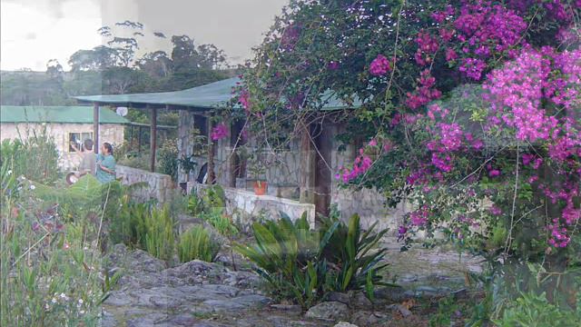 GRAN SABANA CHIVATON смотреть онлайн