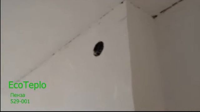 Шумоизоляция потолка эковатой