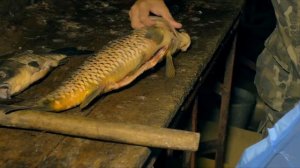 Подводная охота на раскатах Волги