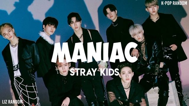 KPOP RANDOM PLAY DANCE CHALLENGE | K-POP RANDOM Ft. @lizrandom11