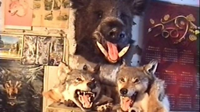 Изготовление чучела птицы (таксидермия) смотреть онлайн