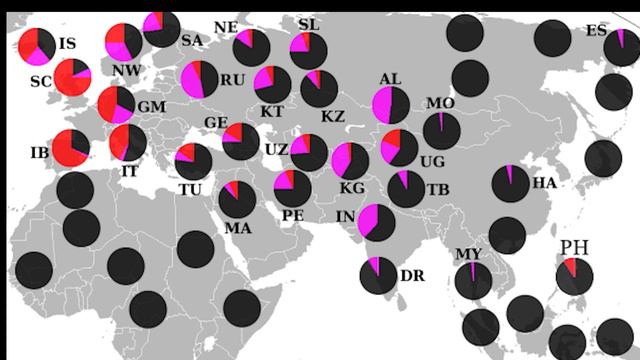 Pashtun Chronicles: Tracing Ancestral Roots Via Y Haplogroup Insights