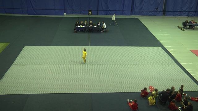 чемпионат и первенство России по ушу 34 смотреть онлайн