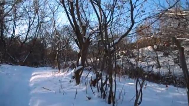 САМВЕЛ СТРАННЫЙ НЕХОРОШИЙ ЗНАК В КВАРТИРЕ МАТЕРИ смотреть онлайн