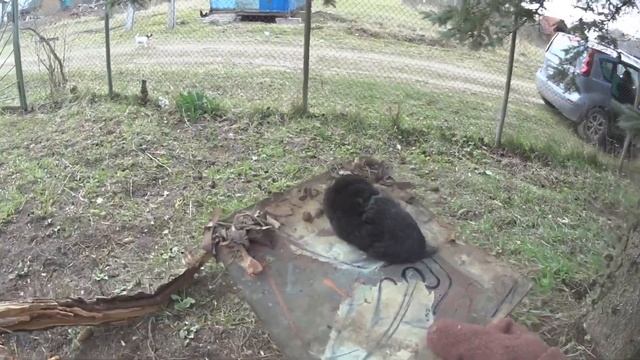 Новые окна на даче ► Замена / установка пластиковых окон в старом доме. смотреть онлайн