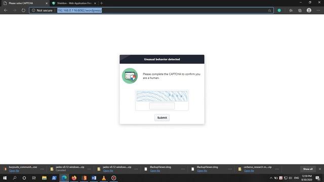 Shieldon Web Application Firewall XSS смотреть онлайн