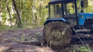 30 ноября 2023 г.