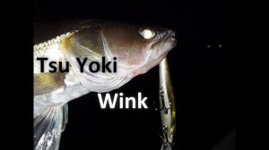 Обзор воблера Tsu Yoki Wink 110F и 110SP