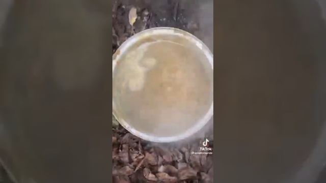 Вот как надо кормить, щенков? смотреть онлайн