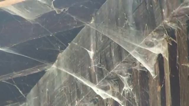 Швангау. Замок Нойшванштайн и его окрестности смотреть онлайн