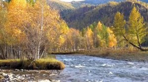 Исцеление от гастрита Для мужчин  Лечебные настрои академика Сытина Г.Н.