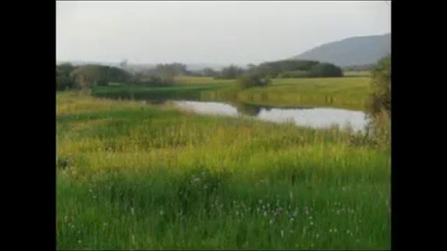 Авторская песня 