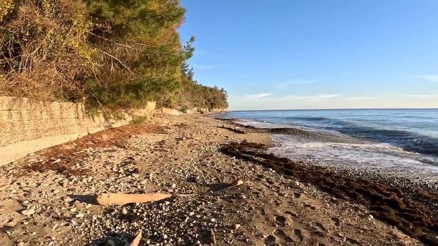 Абхазия Гудаута Пансионат Лакоба Мюссера