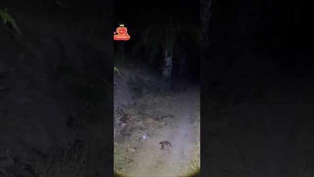 Paranormal Live : (Part 1/5) Arasz Hunting @ Bukit Tinagat Tawau Sabah v3 - (S03E01) смотреть онлайн