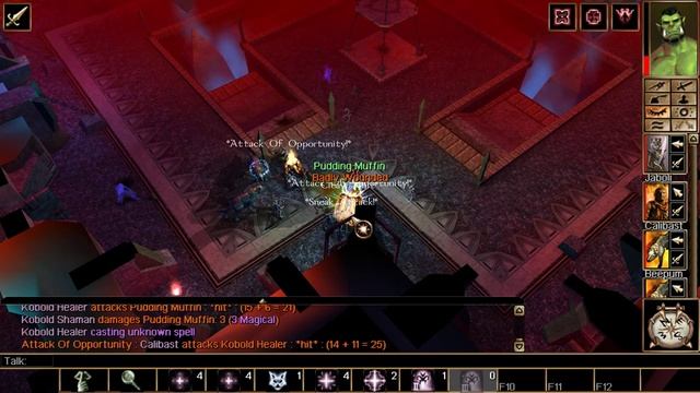 Neverwinter Nights: Kingmaker [4] A Free and Fair Election смотреть онлайн