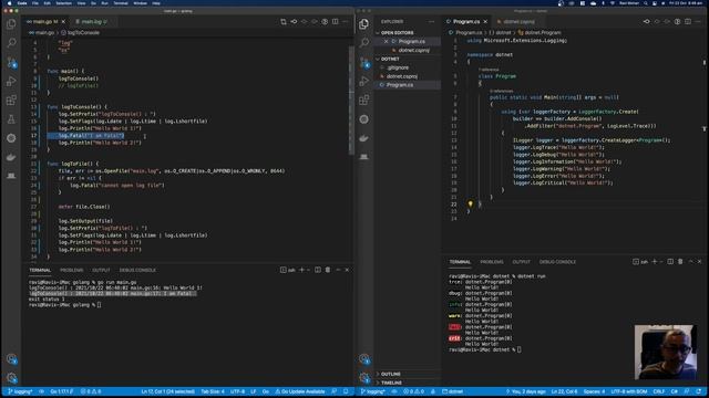 10 Golang for C# Developers - Logging смотреть онлайн