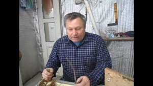 подвой М 9 для яблони.