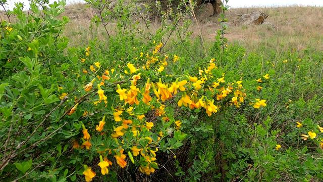 Природный заказник "Половецкая степь" смотреть онлайн