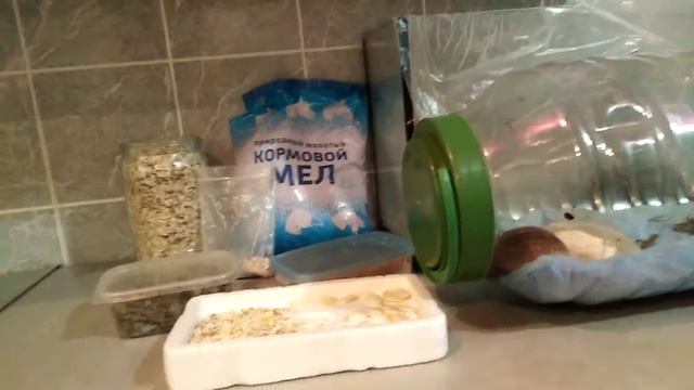 Кальций смесь для улиток смотреть онлайн