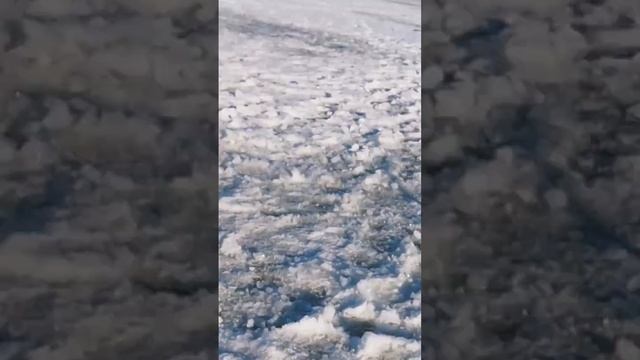 Сарога на безмотылку #fishing #рыбалка #fish #практик смотреть онлайн