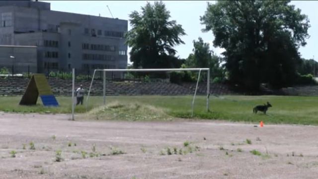 ЗКС Джеси смотреть онлайн