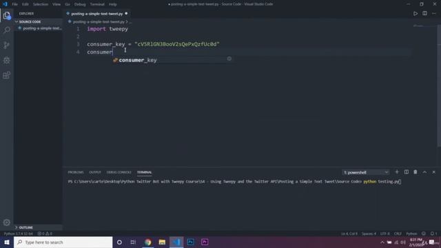 Building a Twitter Bot with Python смотреть онлайн