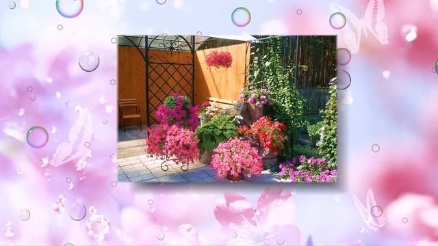 Как украсить беседку смотреть онлайн