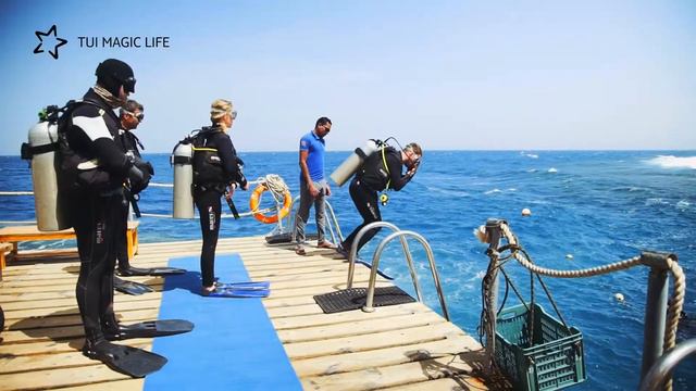 Diving @ TUI Magic Life Kalawy смотреть онлайн