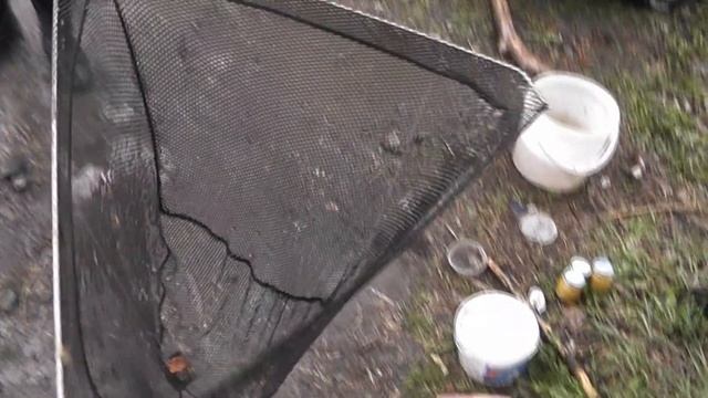 Рыбалка в Барнауле на Оби, открываем сезон фидера и поплавка #ru_kompass #рыбалка #фидернаоби