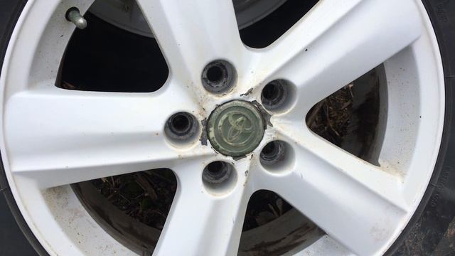 Мы и дачи. Ремшипы после зимнего сезона. смотреть онлайн