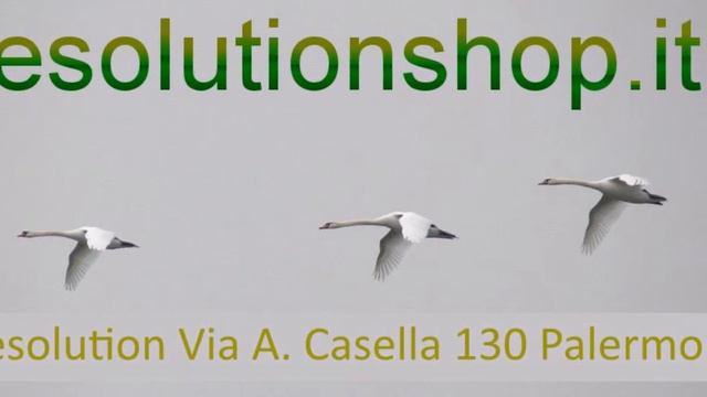 Ballata Partannisa Antica N.767 CMPS Di Albero Favara