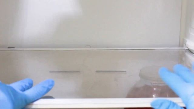 Прозорі килимки для полиць в холодильний - відгук клієнта