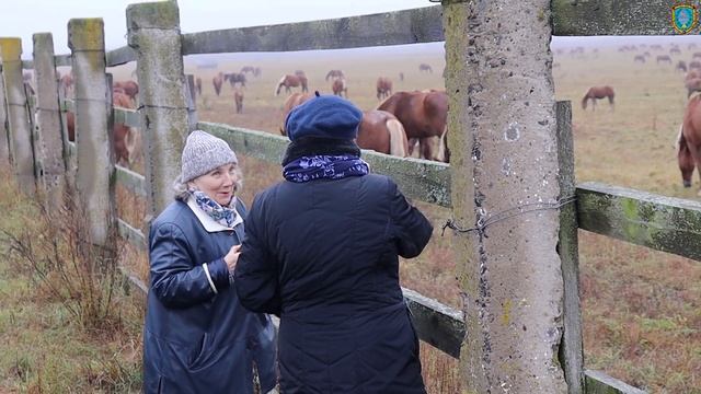 Семинар специалистов в области радбезопасности 2023 смотреть онлайн