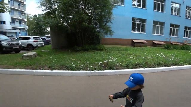 Семейный влог. Красивые штучки НА МОЕЙ КУХНЕ, Лёва идёт в сад, выставка пауков гигантов в Чебоксара смотреть онлайн