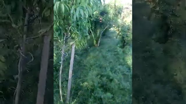 #Ucar #Rayonu 2019 смотреть онлайн