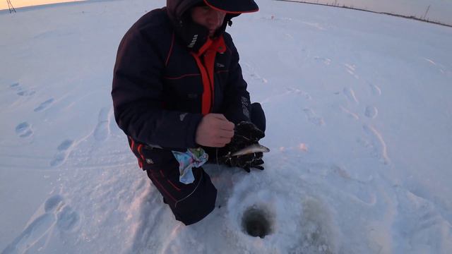Зимняя рыбалка Анатолий и я с ночевкой ..щука 4.650...19.04.2023 г. смотреть онлайн