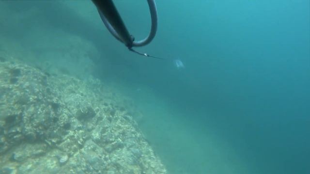 Семейный отдых и конечно подводная охота в б.Шепалова. Октябрь 2019. смотреть онлайн