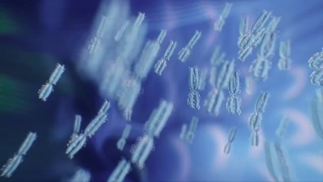 Conception Explained