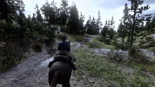 [8K60] Red Dead Redemption 2 With Ultra Realism Mod 2024 - RTX 4090!