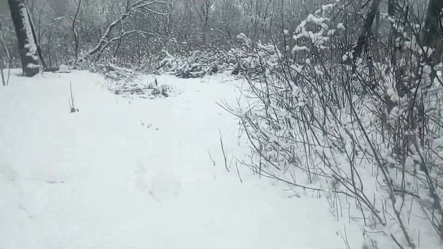 Лес возле ... кого я встретил смотреть онлайн