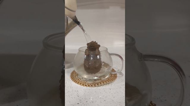 Rose Hedgehog Mushroom Tea #yummy #homemade #hedgehog #aesthetic #merrychristmas #besttea #flowerte смотреть онлайн