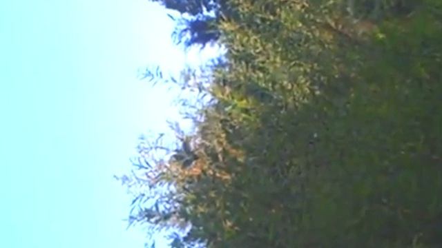 Часто я от боли плачу. смотреть онлайн