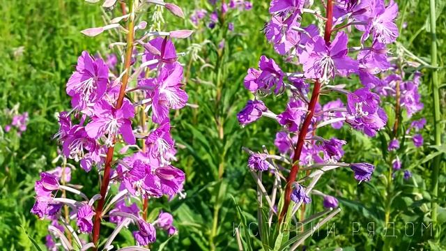 У меня будет ребенок от другой. Выгнав жену, Влад привел любовницу. А спустя время встретив бывшую смотреть онлайн